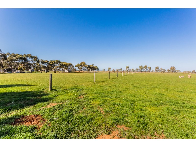 289 Carroll Road, Echuca VIC 3564