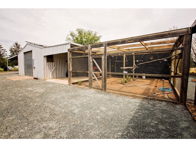 830 Wharparilla Road, Echuca VIC 3564