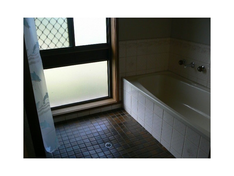 13 Echuca Street, Moama NSW 2731