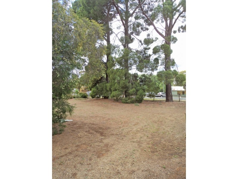 33 Livingstone Street, Mathoura NSW 2710