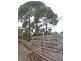 33 Livingstone Street, Mathoura NSW 2710