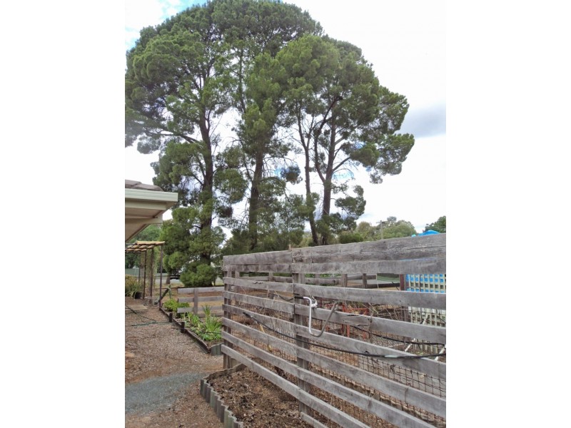 33 Livingstone Street, Mathoura NSW 2710