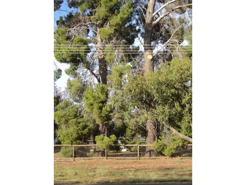 33 Livingstone Street, Mathoura NSW 2710