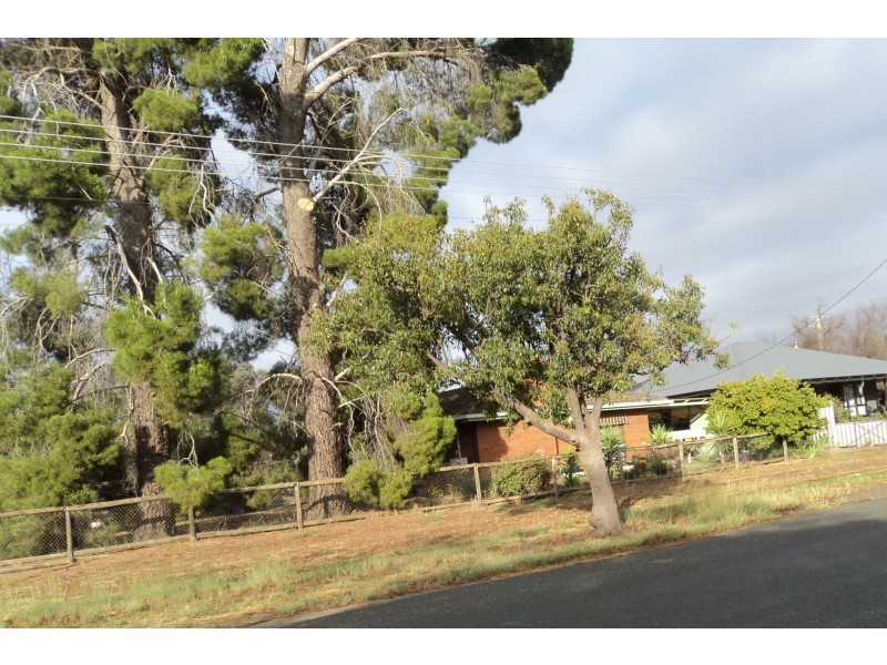 33 Livingstone Street, Mathoura NSW 2710