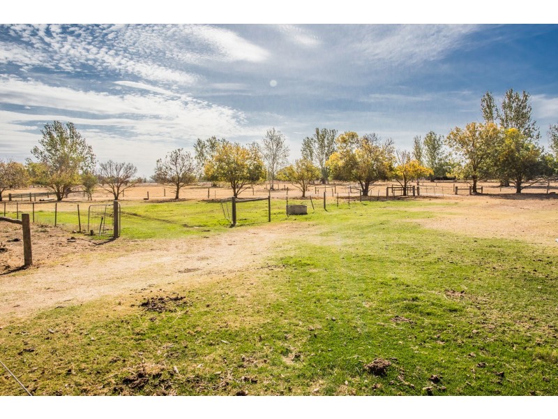 1167 Castles Road, Koyuga VIC 3622