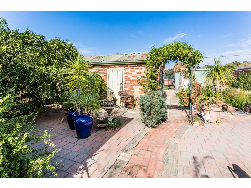 31 Chanter Street, Moama NSW 2731