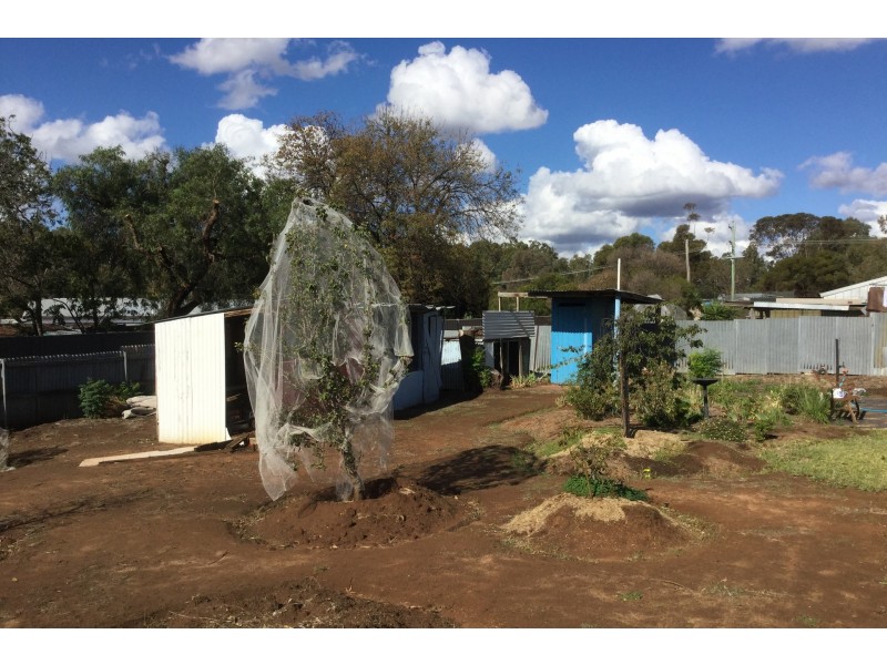66-68 Carter Street, Mathoura NSW 2710