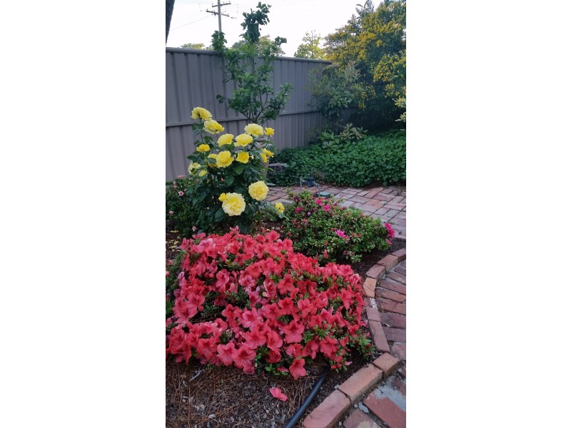 67 Hovell Street, Echuca VIC 3564