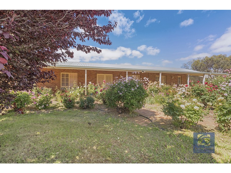 777 Mt Terrick Road, Echuca VIC 3564