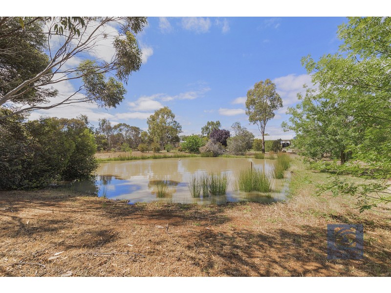 777 Mt Terrick Road, Echuca VIC 3564