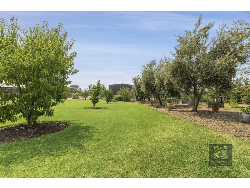 16 Manzanillo Avenue, Moama NSW 2731