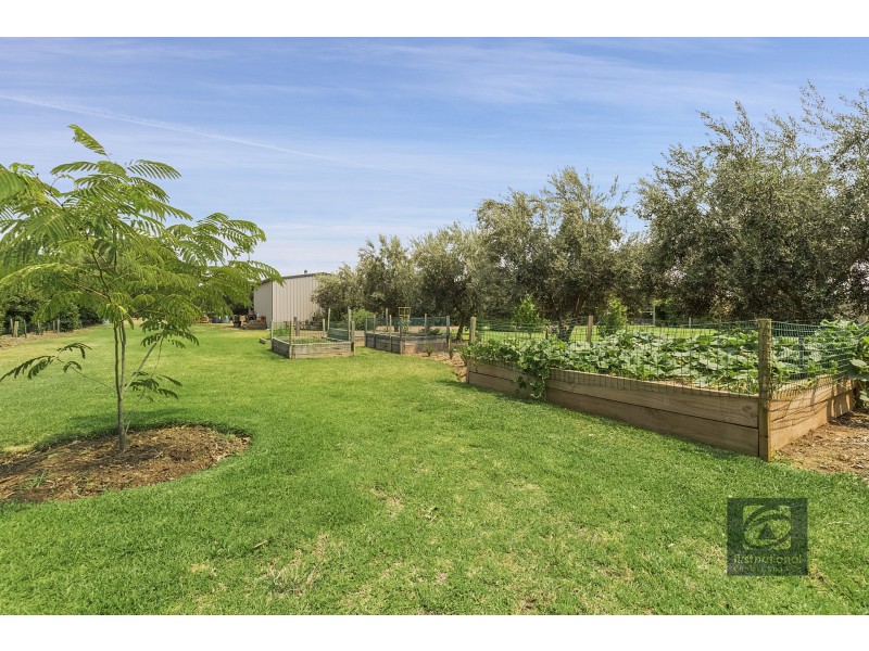 16 Manzanillo Avenue, Moama NSW 2731