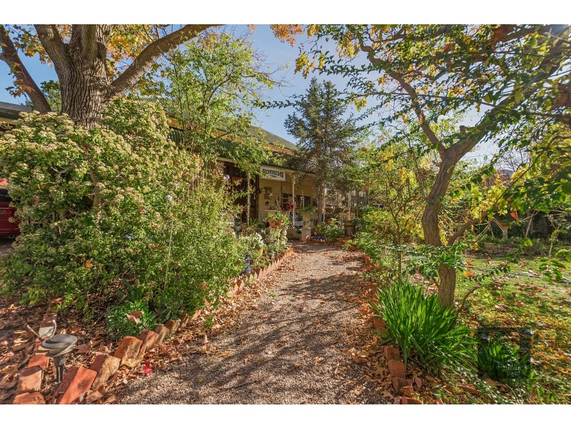 31 Watson Street, Echuca VIC 3564