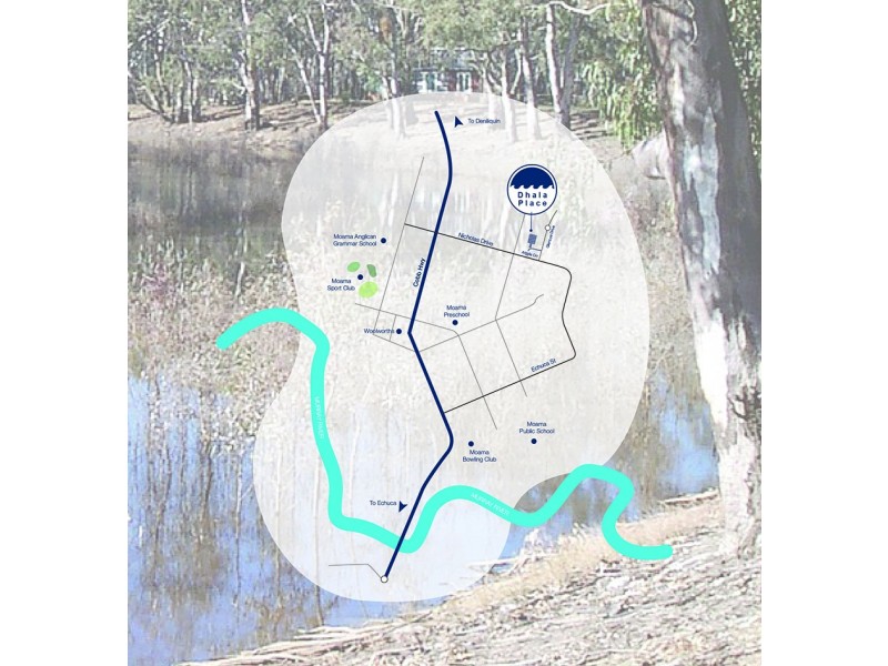 Dhala Place, Moama NSW 2731