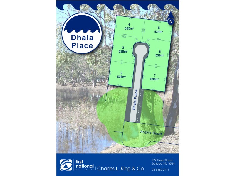 Dhala Place, Moama NSW 2731