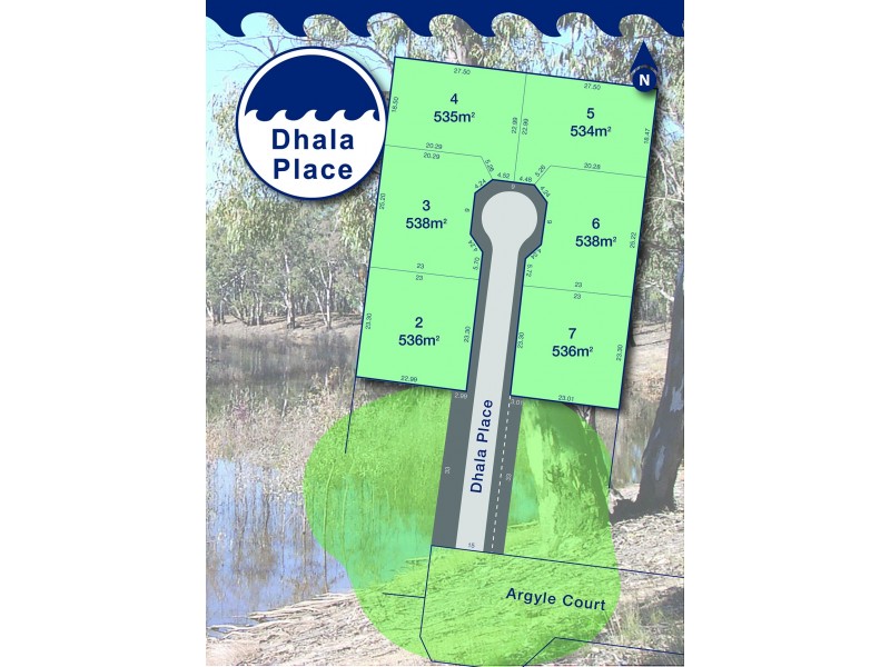 Dhala Place, Moama NSW 2731