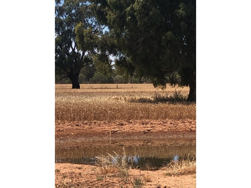 19 – 20 Via Cobb Highway, Mathoura NSW 2710