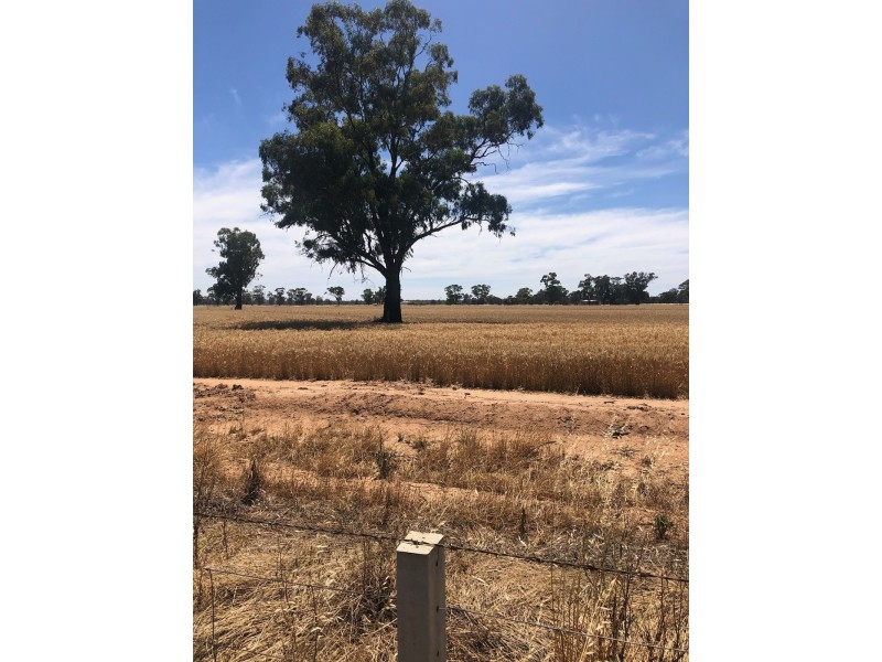 19 – 20 Via Cobb Highway, Mathoura NSW 2710