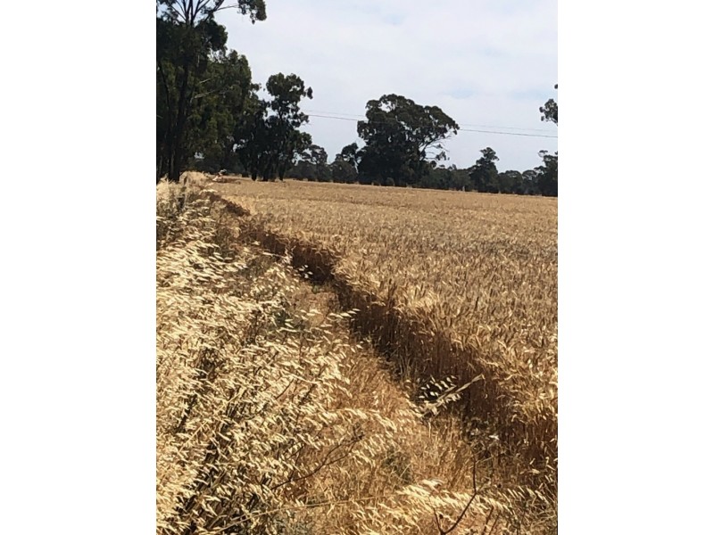 19 – 20 Via Cobb Highway, Mathoura NSW 2710