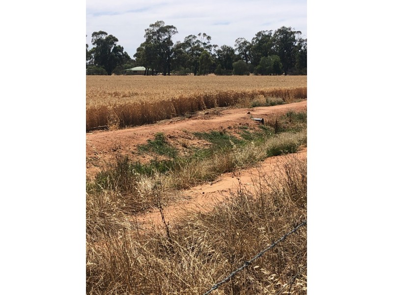 19 – 20 Via Cobb Highway, Mathoura NSW 2710