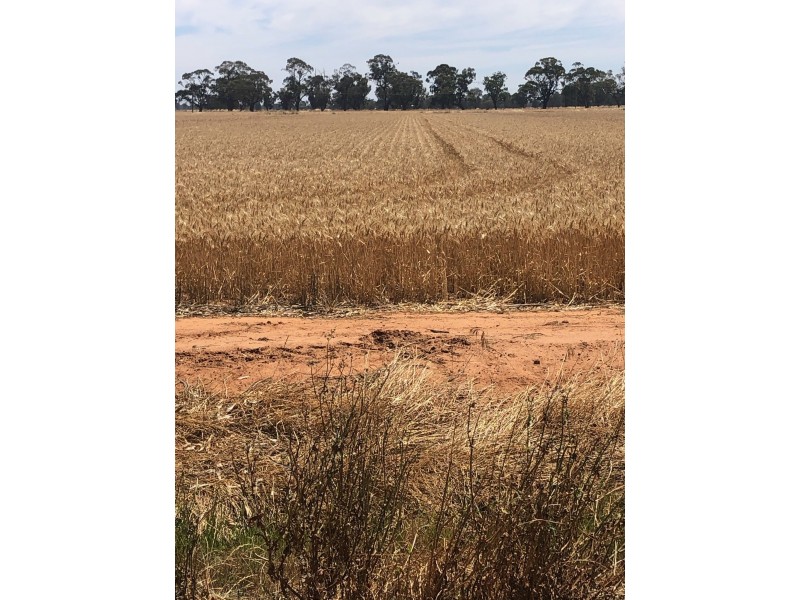 19 – 20 Via Cobb Highway, Mathoura NSW 2710