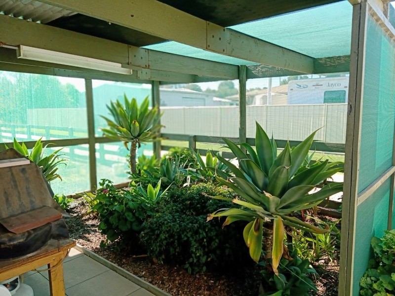 76 Moama Street, Mathoura NSW 2710