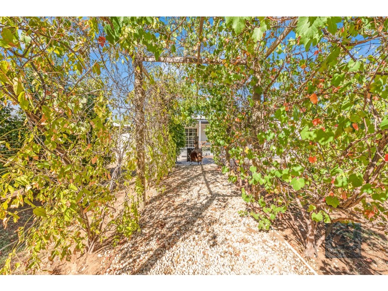 21 Mitchell Street, Echuca VIC 3564