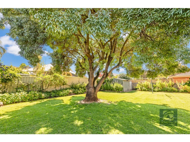 22 Hillview Avenue, Moama NSW 2731