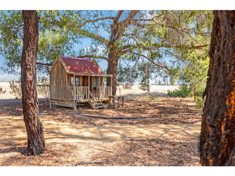 9 Wharparilla Drive, Echuca VIC 3564