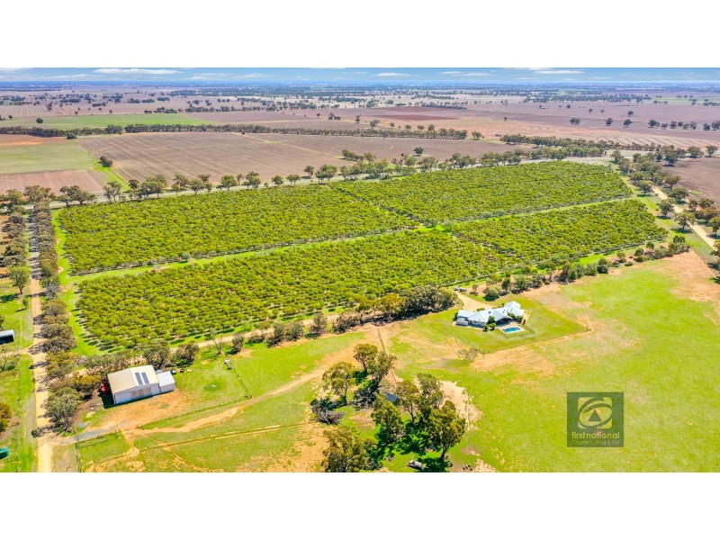 880 Thyra Road, Moama NSW 2731