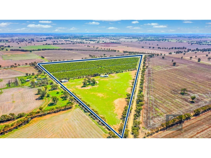 880 Thyra Road, Moama NSW 2731