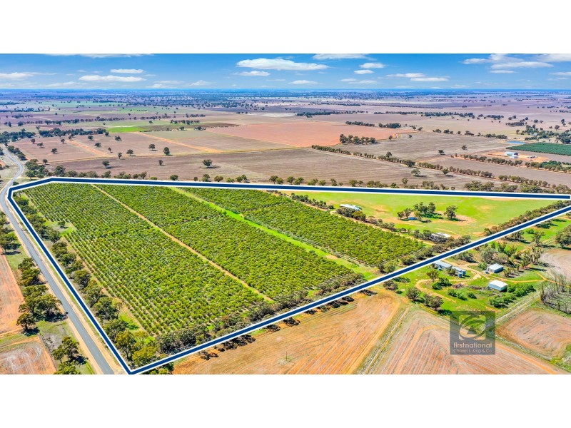880 Thyra Road, Moama NSW 2731