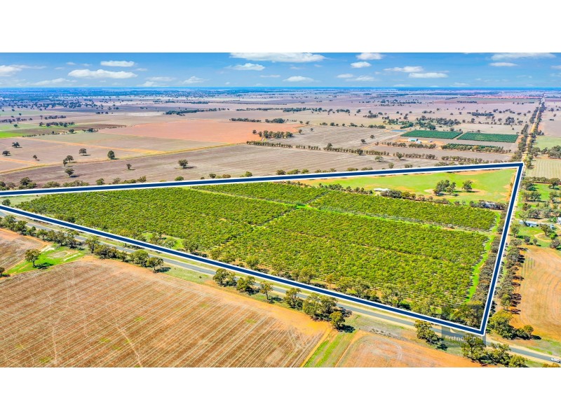880 Thyra Road, Moama NSW 2731