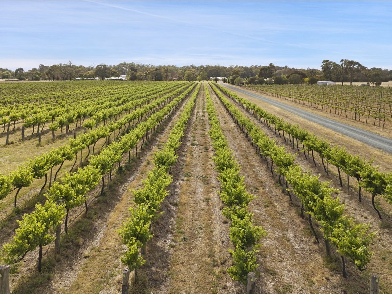 119 Pianta Road, Echuca VIC 3564
