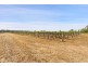 119 Pianta Road, Echuca VIC 3564