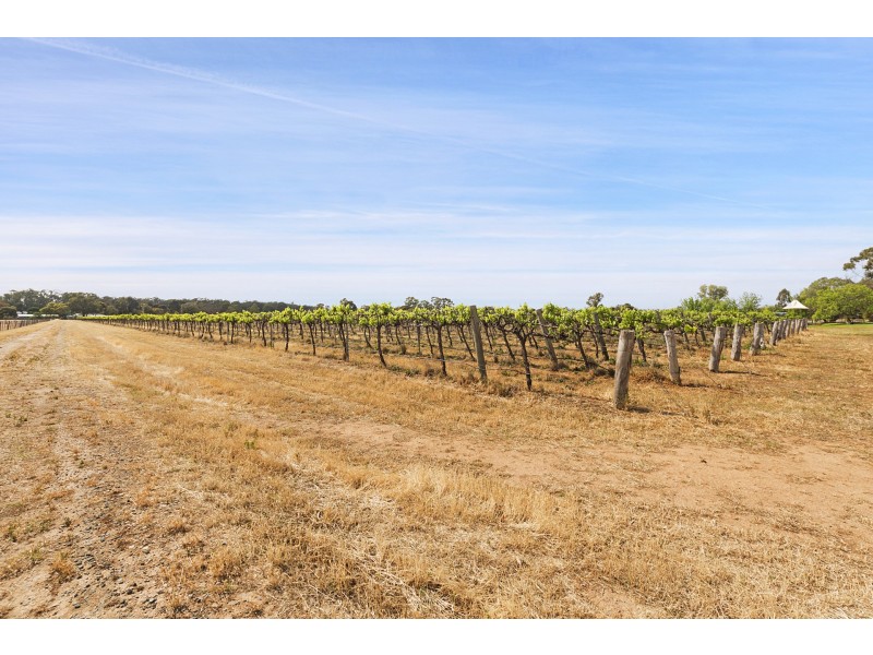 119 Pianta Road, Echuca VIC 3564