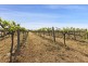 119 Pianta Road, Echuca VIC 3564