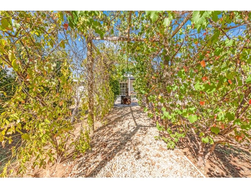 21 Mitchell Street, Echuca VIC 3564