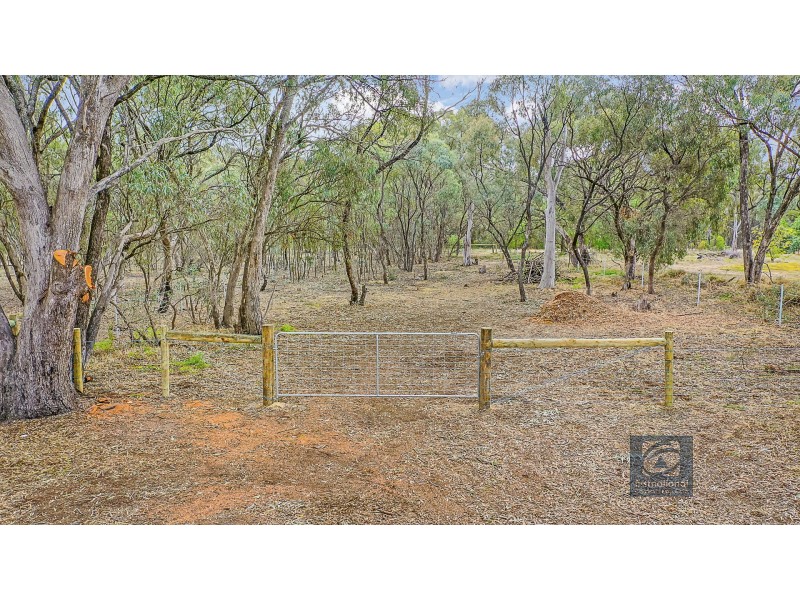 16 Pakenham Street, Echuca VIC 3564
