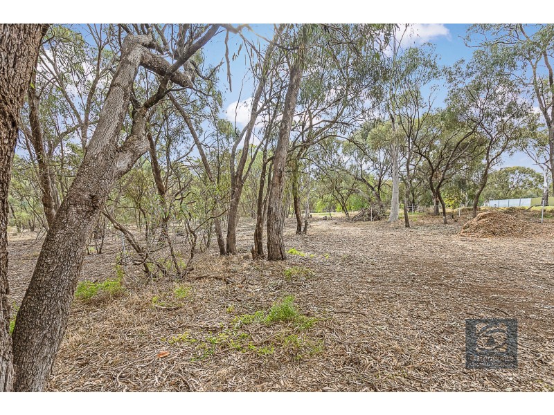 16 Pakenham Street, Echuca VIC 3564