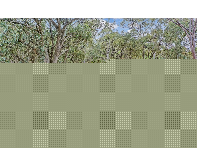 16 Pakenham Street, Echuca VIC 3564