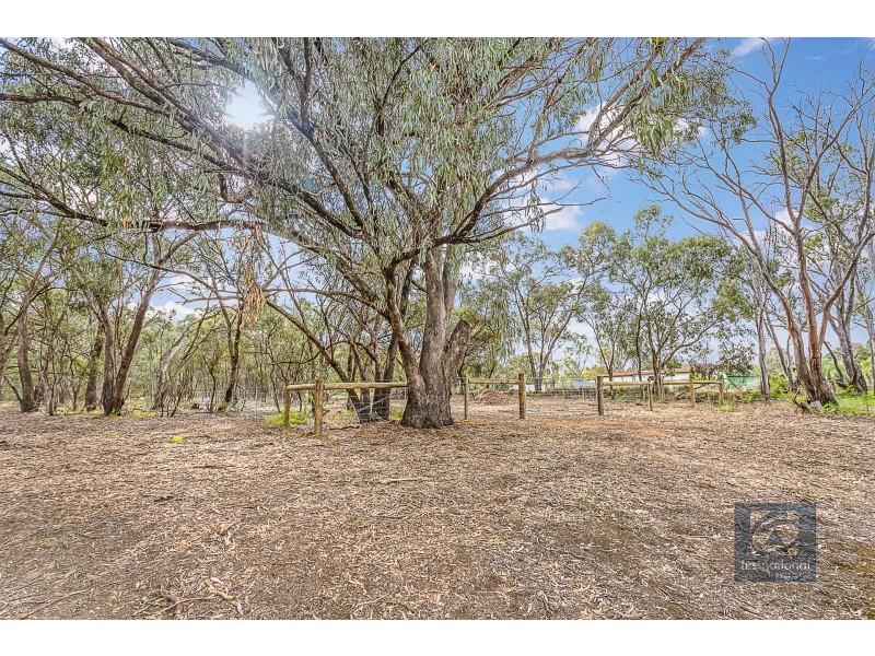 16 Pakenham Street, Echuca VIC 3564