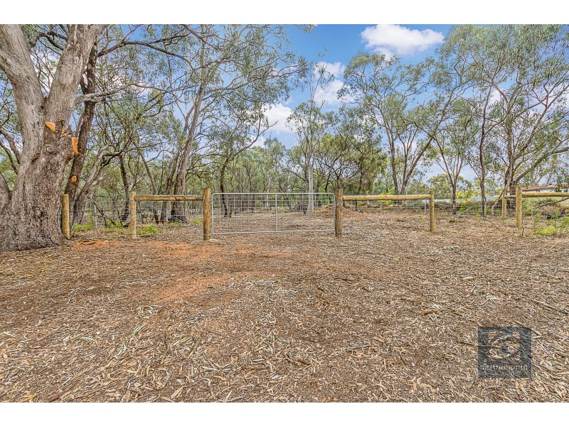 16 Pakenham Street, Echuca VIC 3564