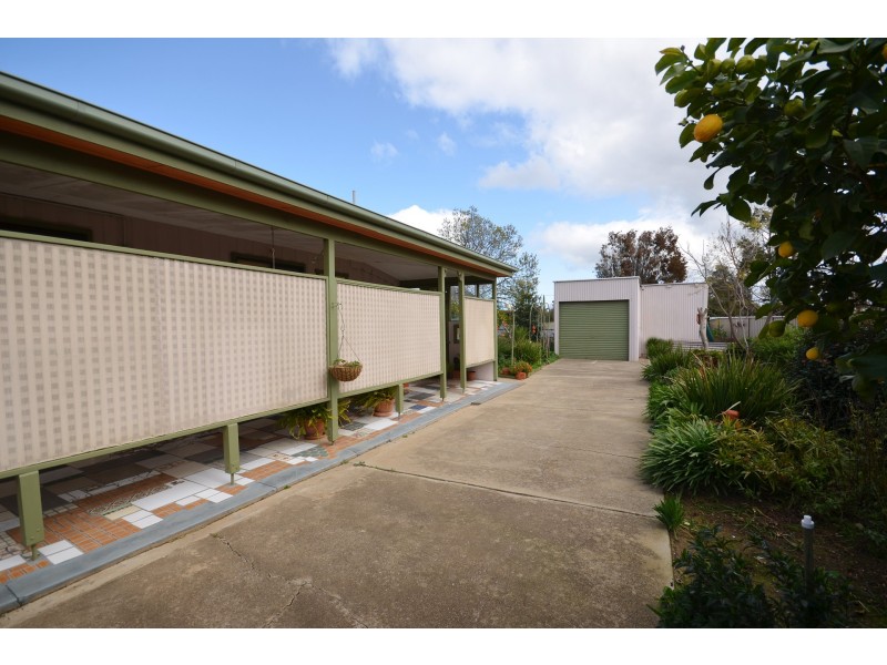 41 Crossen Street, Echuca VIC 3564