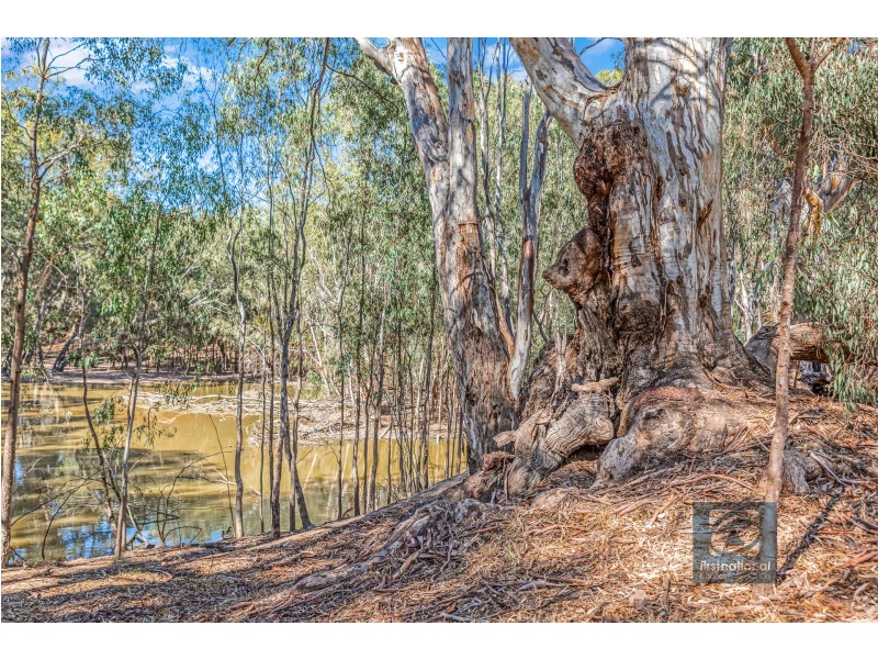 Latham Road, Echuca VIC 3564