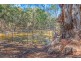 Latham Road, Echuca VIC 3564