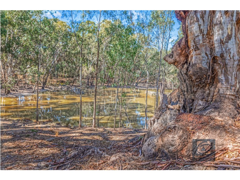 Latham Road, Echuca VIC 3564