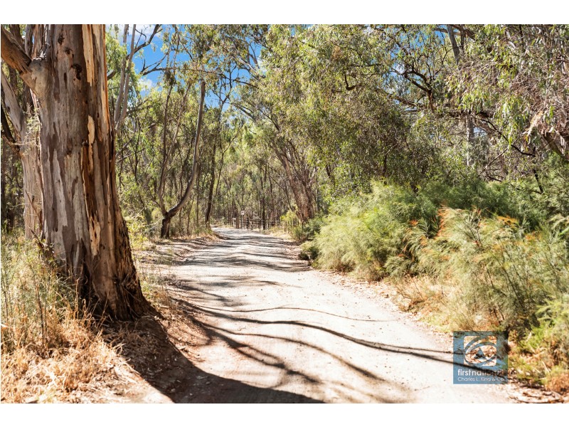 Latham Road, Echuca VIC 3564