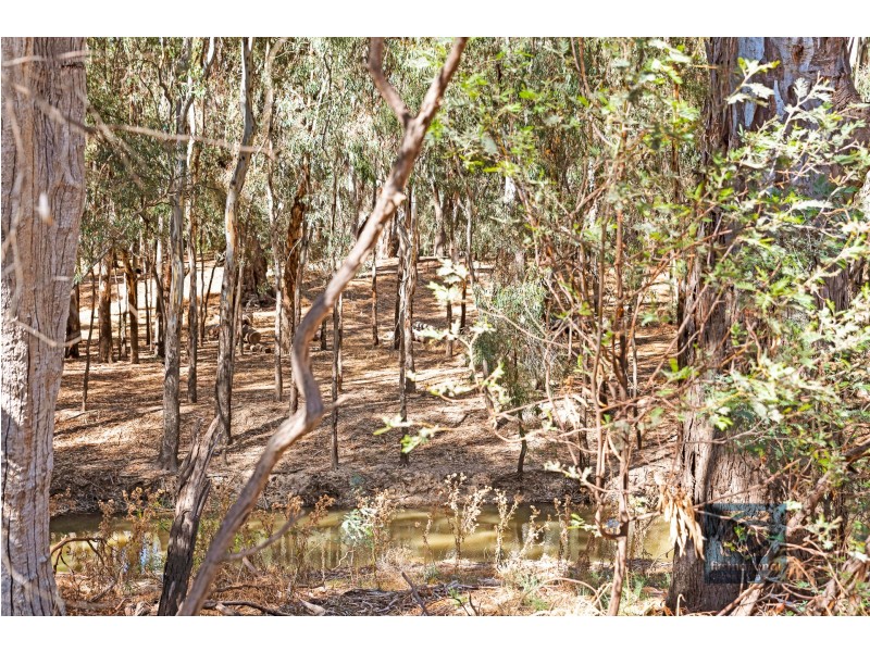 Latham Road, Echuca VIC 3564