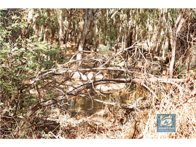 Latham Road, Echuca VIC 3564